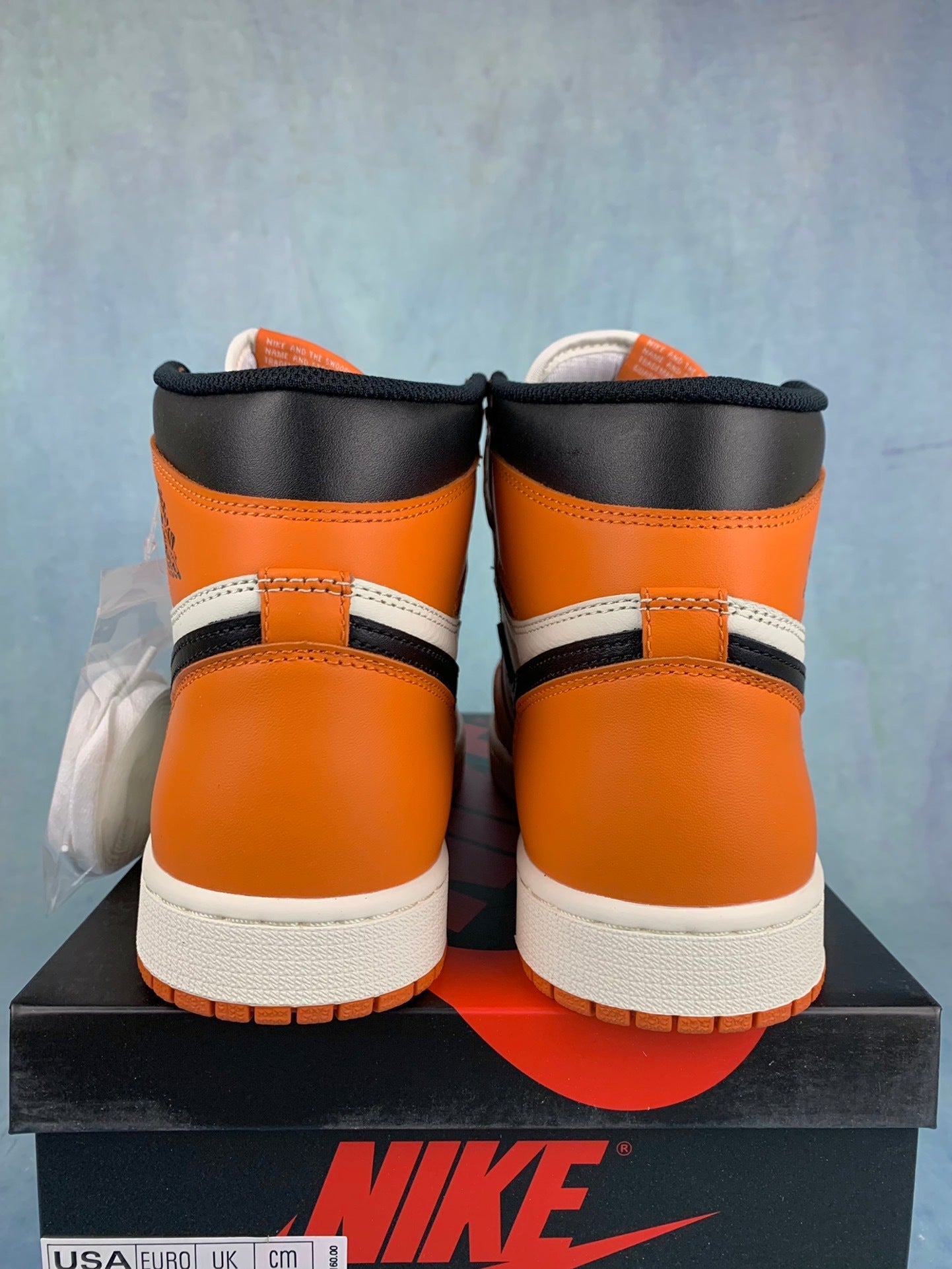 Air Jordan 1 High-Top Men's Sneakers